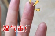 从抓痒开始的奇妙旅程（探索身体机能与健康的秘密）