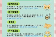 狗狗生小宝宝需要等多久才能洗澡？（探讨狗狗生产后洗澡的最佳时间和注意事项）