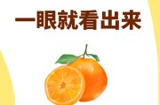 如何提高小狗的免疫力（小狗增强免疫力的关键）