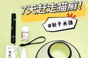 解密猫藓（猫藓）
