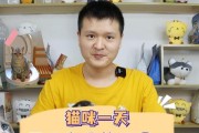 猫咪的排便频率（探究猫咪每天拉几次还是几天拉一次的习惯）