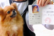 怀孕养狗的注意事项（为宝宝和宠物健康着想）