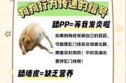 狗为何喜欢舔各种东西？（探索狗喜欢舔的原因及其影响）