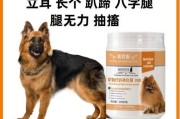 以德牧趴蹄预防，宠物健康有保障（预防胜于治疗，德牧趴蹄的必要性和操作技巧）
