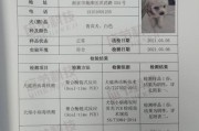 家中毛孩儿咳嗽？不用担心，雾化治疗来帮你解决！（家中毛孩儿咳嗽？不用担心，雾化治疗来帮你解决！）