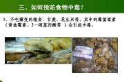 如何避免狗狗黄曲霉素中毒？（正确使用药品、注意食品安全、早期发现症状）