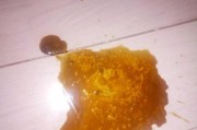 狗狗不吃东西也不拉稀，你需要知道的15个细节（狗狗食欲不佳，如何判断和处理？）