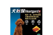法牛犬驱虫方法及注意事项（保护法牛犬免受寄生虫侵害的关键措施）
