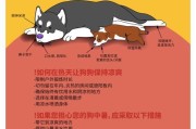 如何正确测量狗狗的体温（简单有效的狗狗体温测量方法）