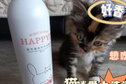 为猫咪洗澡选择正确的沐浴露（以宠物为主，选择合适的洗浴用品）