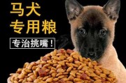 以马犬幼犬能否食用成犬狗粮？（探究以马犬幼犬是否适宜食用成犬狗粮）