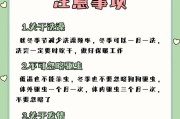 精致饲养狗狗的注意事项（打造宠物狗狗舒适健康的生活空间）