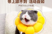 狗狗绝育时间的最佳选择（以宠物为主，为爱宠做正确的决定）