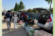 探访株洲狗市场（市场行情、养犬需求旺盛，与狗有关的一切你都能找到）