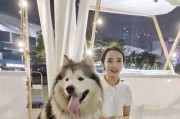 探秘三个月阿拉斯的注意事项（旅行攻略助你玩转阿拉斯）