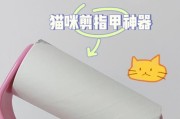 宠物护理技巧（细节决定成败，让宠物指甲剪得更加舒适）