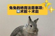 绝育前的准备工作（为宠物绝育之前必须做的准备）