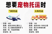 宠物托运火车回家，为你的狗狗提供舒适旅程（详解宠物托运火车回家的手续和注意事项）