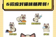 解决猫咪随处大小便问题的有效方法（铲屎官如何改善猫咪大小便习惯）