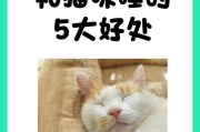 揭秘猫咪为什么如此热爱睡觉的原因（猫咪睡觉）