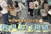 萨摩耶的价格与影响因素（了解萨摩耶价格与市场因素，为养犬提供参考）