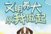 广告狗（揭秘广告狗的魅力，探索其在品牌推广中的巨大价值）