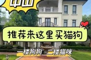 选择宠物的首选网站（全面评析买宠物的最佳平台，让你的宠物梦想成真！）