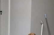 俩月拉布拉多的饮食需求与喂养方法（为你的小拉布拉多提供健康成长所需的营养）