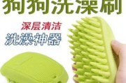 如何正确梳理斗牛犬毛发（掌握正确的梳毛技巧，让斗牛犬焕发出美丽光彩）