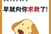 狗狗为什么会呜呜叫？（探索狗狗呜呜叫的原因与意义）