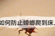 如何彻底避免蟑螂晚上爬床？（四种最有效的根治方法，助你美梦成真！）