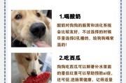 守护毛茸茸的小生命——狗狗巧克力中毒的防范与保护（了解风险，爱心呵护，守护最忠诚的伙伴）