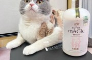 猫咪沐浴露推荐（选择适合猫咪的沐浴露，让毛发更健康）