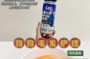 犬科宠物必备药品（保护你的爱犬免受疾病威胁）
