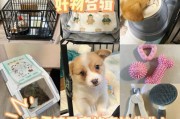柯基的肠子为何易倒？（揭开柯基肠子倒掉的原因和解决方法）