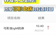 狗感染弓形虫的症状与防治措施（了解狗感染弓形虫的症状，保护宠物与家庭健康）