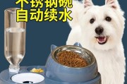 如何科学喂养你的以西摩犬？（以宠物为主，让你的以西摩犬健康成长）