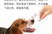 猫咪尿路结石——预防和治疗（宠物主人必知的猫咪健康知识）