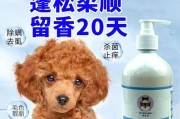 如何选择适合宠物犬的沐浴露（帮助你的狗狗美容，从正确选择沐浴露开始）