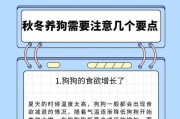 夏季宠物养护指南（以狗狗度夏需要剃毛吗？狗主人必读的防暑小技巧）