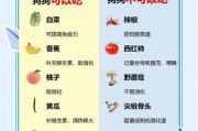 小狗多久能自己吃东西？（探究小狗从母乳到独立进食的过程）