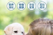 宠物补品需求分析（了解宠物的补品需求，为宠物健康保驾护航）