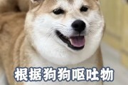 探究狗狗拉吐的原因（为什么狗狗会出现拉吐行为？）