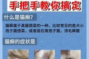 以猫咪起猫癣摸什么药为主题的治疗方法与建议（如何选择适合的药物治疗猫咪患上的猫癣）