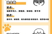 探讨雪纳瑞何时不再咬人（了解雪纳瑞咬人行为的关键因素）