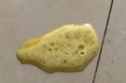 小泰迪为何频繁呕吐？（探究小泰迪呕吐的原因与解决方法）