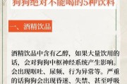 如何判断狗狗是否很热？（从哪几个方面可以看出狗狗很热？降温是关键！）