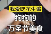 金毛喜欢吃什么？（探究金毛饮食习性及营养需求）