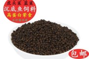 珍珠虹鱼饲养指南（培养水族爱好者的专业技能）