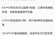 揭秘养狗那么久，你不知道的8个狗狗“性”冷知识（从交配到行为习性，了解狗狗的性生活）